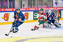Hockey, Mens, CHL, Season 2025-2026, Quarter-Finals, ERC Ingolstadt - Frölunda Gothenburg, 02.12.2025