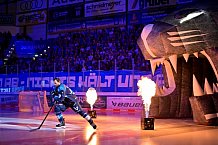 Eishockey, Herren, DEL, Saison 2025-2026, Playoffs Halbfinale, Spiel 1, ERC Ingolstadt - Iserlohn Roosters, 12.09.2025