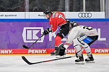 Eishockey, Frauen, EWHL Euro Cup, Saison 2025-2026, Finale, HK Budapest - ECDC Memmingen Indians, 19.10.2025