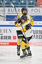 Eishockey, Frauen, DFEL, Halbfinale, Saison 2022-2023, ERC Ingolstadt - Mad Dogs Mannheim, 25.02.2023