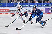 Eishockey, Herren, DEL, Saison 2024-2025, Spieltag 32, ERC Ingolstadt - Adler Mannheim, 30.12.2024