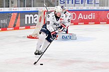 Eishockey, Herren, DEL, Saison 2023-2024, Spieltag 38, ERC Ingolstadt - Adler Mannheim, 14.01.2024