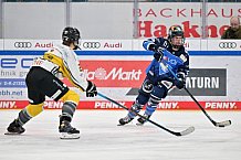Eishockey, Frauen, DFEL, Saison 2023-2024, ERC Ingolstadt - Mad Dogs Mannheim, 18.02.2024