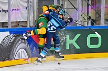 Hockey, Mens, CHL, Season 2025-2026, Regular Season, Game Day 1, ERC Ingolstadt - Ilves Tampere, 28.08.2025