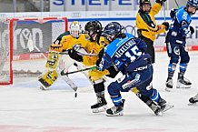 Eishockey, Frauen, DFEL, Saison 2025-2026, Spieltag 3, ERC Ingolstadt - Mad Dogs Mannheim, 27.09.2025