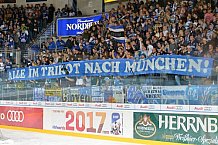 ERC Ingolstadt vs Iserlohn Roosters, Eishockey, DEL, Deutsche Eishockey Liga, Spieltag 27, 11.12.2016