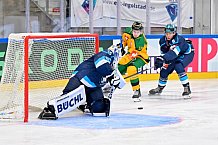 Hockey, Mens, CHL, Season 2025-2026, Regular Season, Game Day 1, ERC Ingolstadt - Ilves Tampere, 28.08.2025