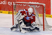 ERC Ingolstadt vs Hamburg Freezers, Eishockey, DEL, Deutsche Eishockey Liga, Spieltag 43, 05.02.2016, Foto: Oliver STRISCH