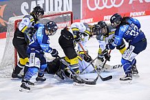 Eishockey, Frauen, DFEL, Saison 2020-2021, ERC Ingolstadt - Mad Dogs Mannheim, 30.01.2021