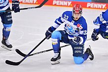 Eishockey, Herren, DEL, Saison 2020-2021, ERC Ingolstadt - Fischtown Pinguins Bremerhaven, 16.04.2021