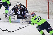 Eishockey, Herren, DEL, Saison 2020-2021, Straubing Tigers - ERC Ingolstadt, 31.01.2021