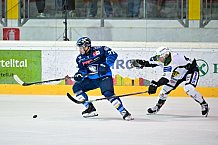 Eishockey, Herren, DEL, Saison 2024-2025, EHC Olten - ERC Ingolstadt, 25.08.2024