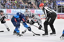 Eishockey, Herren, DEL, Saison 2024-2025, Spieltag 42, ERC Ingolstadt - Kölner Haie, 31.01.2025