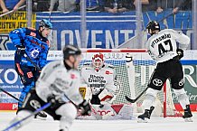 Eishockey, Herren, DEL, Saison 2025-2026, Spiel 16, ERC Ingolstadt - Kölner Haie, 31.10.2025