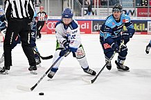 Eishockey, Herren, DEL, Saison 2022-2023, Spieltag 6, ERC Ingolstadt - Straubing Tigers, 30.09.2022