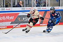 Eishockey, Herren, DEL, Saison 2024-2025, Playoffs Viertelfinale, Spiel 1, ERC Ingolstadt - Nürnberg Ice Tigers, 16.03.2025
