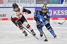 Eishockey, Frauen, DFEL, Saison 2023-2024, ERC Ingolstadt - EC Bergkamener Bären, 28.10.2023