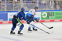Eishockey, Herren, Gäuboden-Cup 2024, Straubing Tigers - ERC Ingolstadt, 29.08.2024