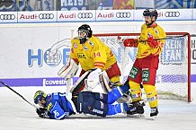ERC Ingolstadt vs Duesseldorfer EG, Eishockey, DEL, Deutsche Eishockey Liga, Spieltag 22, 19.11.2017