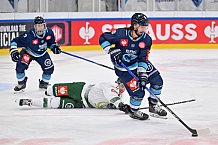 Eishockey, Mens, CHL, Season 2023-2024, ERC Ingolstadt - Färjestad Karlstad, 02.09.2023
