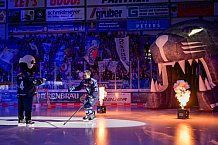 Eishockey, Herren, DEL, Saison 2024-2025, Spieltag 49, ERC Ingolstadt - Straubing Tigers, 28.02.2025