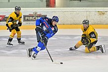 Eishockey, Herren, DEL, Saison 2026-2027, ERC Ingolstadt - HC Falkensteiner Pustertal, 21.08.2026