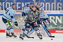 Eishockey, Herren, DEL, Saison 2023-2024, Spieltag 30, ERC Ingolstadt - Straubing Tigers, 23.12.2023