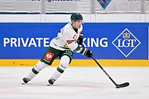 Eishockey, Mens, CHL, Season 2023-2024, ERC Ingolstadt - Färjestad Karlstad, 02.09.2023