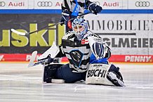 Eishockey, Herren, DEL, Saison 2024-2025, Spieltag 45, ERC Ingolstadt - Iserlohn Roosters, 16.02.2025