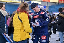 Eishockey, Herren, DEL, Saison 2024-2025, Spieltag 19, ERC Ingolstadt - Grizzlys Wolfsburg, 24.11.2024