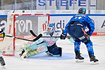 Eishockey, Herren, DEL, Saison 2025-2026, Spiel 23, ERC Ingolstadt - Dresdner Eislöwen, 28.11.2025