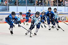 Eishockey, Herren, DEL, Saison 2025-2026, Spiel 7, ERC Ingolstadt - Straubing Tigers, 03.10.2025