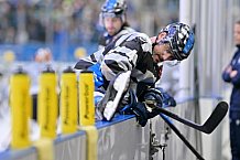Eishockey, Herren, DEL, Saison 2024-2025, Spieltag 14, ERC Ingolstadt - Löwen Frankfurt, 31.10.2024