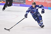 ERC Ingolstadt vs Eisbären Berlin, DEL, Deutsche Eishockey Liga, Spieltag 49, 22.02.2019