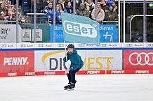 Eishockey, Herren, DEL, Saison 2023-2024, Spieltag 52, ERC Ingolstadt - Nürnberg Ice Tigers, 08.03.2024