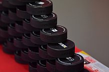 Eishockey, Herren, DEL, Saison 2021-2022, Spieltag 59, ERC Ingolstadt - Schwenninger Wild Wings, 01.04.2022