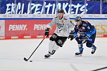 Eishockey, Herren, DEL, Saison 2024-2025, Spieltag 42, ERC Ingolstadt - Kölner Haie, 31.01.2025