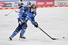 Eishockey, Frauen, DFEL, Saison 2023-2024, ERC Ingolstadt - Amsterdam Tigers, 06.01.2024