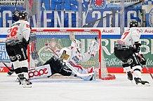 Eishockey, Herren, DEL, Saison 2022-2023, Spieltag 52, ERC Ingolstadt - Kölner Haie, 14.02.2023