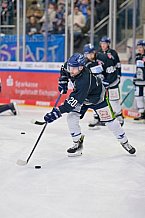 Eishockey, Herren, DEL, Saison 2024-2025, Spieltag 49, ERC Ingolstadt - Straubing Tigers, 28.02.2025