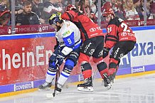 Koelner Haie vs ERC Ingolstadt, DEL, Deutsche Eishockey Liga, Playoffs, Viertelfinale, Spiel 7, 31.03.2019