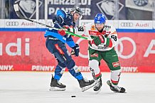Eishockey, Herren, DEL, Saison 2024-2025, Spieltag 35, ERC Ingolstadt - Augsburger Panther, 10.01.2025