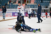 Eishockey, Herren, DEL, Saison 2023-2024, ERC Ingolstadt - Kids on Ice Day, 30.09.2023