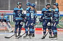 Eishockey, Frauen, DFEL, Halbfinale, Saison 2022-2023, ERC Ingolstadt - Mad Dogs Mannheim, 25.02.2023