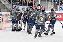 Eishockey, Herren, DEL, Saison 2023-2024, Spieltag 36, ERC Ingolstadt - Kölner Haie, 07.01.2024
