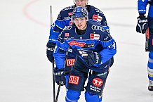 Eishockey, Herren, DEL, Saison 2026-2027, Spieltag 13, ERC Ingolstadt - Eisbären Berlin, 30.10.2026