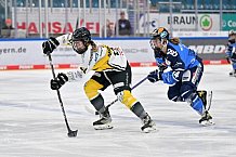 Eishockey, Frauen, DFEL, Saison 2023-2024, ERC Ingolstadt - Mad Dogs Mannheim, 18.02.2024