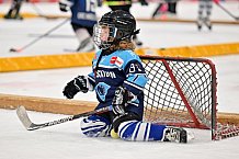 Eishockey, Herren, DEL, Saison 2022-2023, ERC Ingolstadt - Kids On Ice Day, 14.01.2023