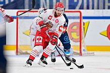 Hockey, Mens, CHL, Season 2025-2026, Regular Season, Game Day 6, ERC Ingolstadt - Odense Bulldogs, 15.10.2025