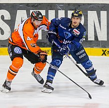 ERC Ingolstadt  - Grizzlys Wolfsburg, Eishockey, DEL, Deutsche Eishockey Liga, Spieltag 42, 31.01.2016